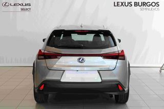 Lexus UX 250H BUSSINES 2WD