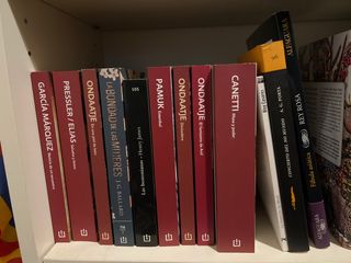 Lote de libros literatura universal