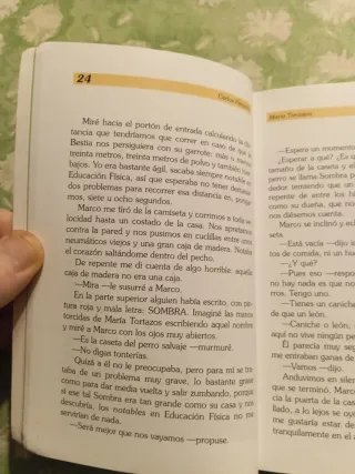 María Tortazos (LITERATURA INFANTIL A partir de...