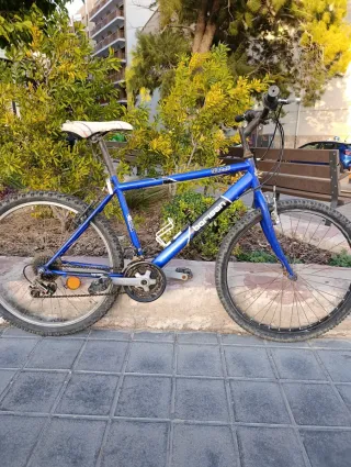 Bicicleta de paseo Borisan