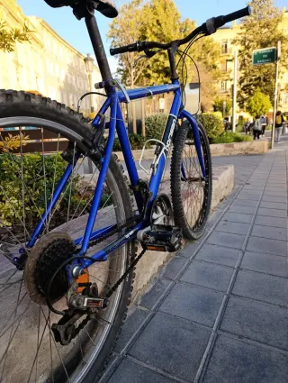 Bicicleta de paseo Borisan
