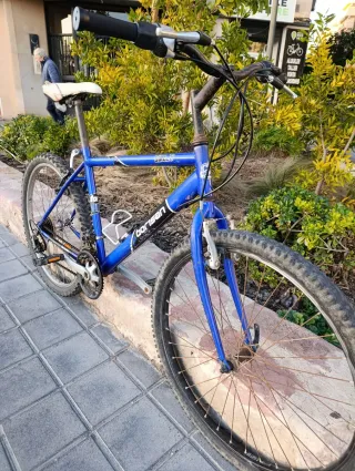 Bicicleta de paseo Borisan