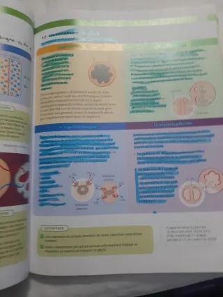 BIOLOGIA, GEOLOGIA I CIENCIES AMBIENTALS 1 BTX ...