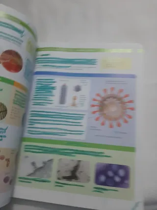 BIOLOGIA, GEOLOGIA I CIENCIES AMBIENTALS 1 BTX ...