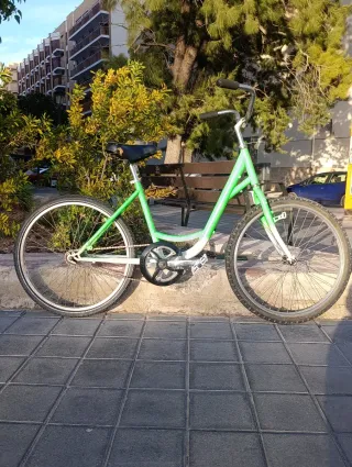 Bicicleta de paseo verde y blanca.