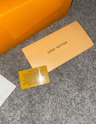 Zapatillas LV Skate Grises y Blancas