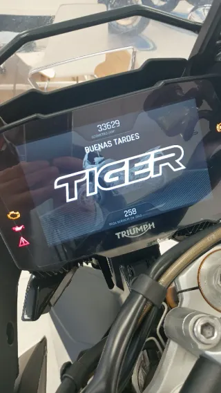 TRIUMPH TIGER 900 RALLY