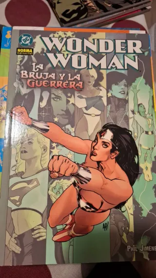 Wonder woman la bruja y la guerrera