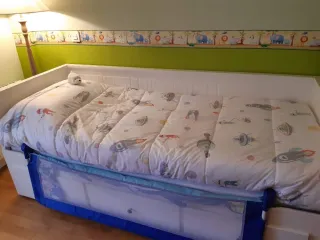 Barrera de Cama Asalvo