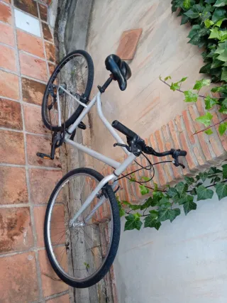 Bicicleta plateada