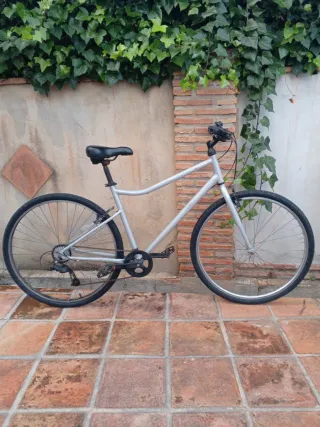 Bicicleta plateada