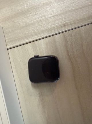 Apple Watch Series 4 Beige/Space Gray