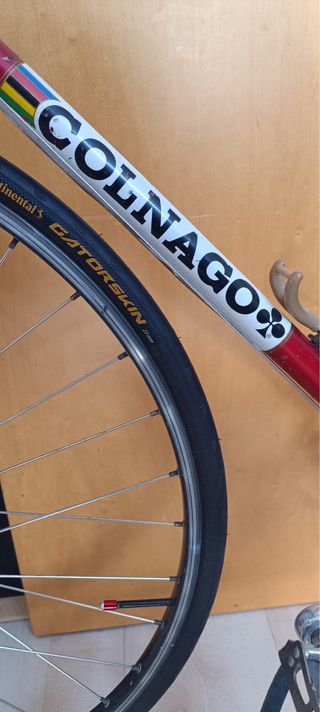 Bicicleta Colnago Vintage 70 L'Eroica