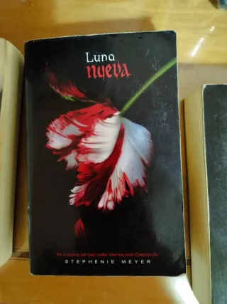 Crepúsculo (Saga Crepúsculo 1) (Spanish Edition)