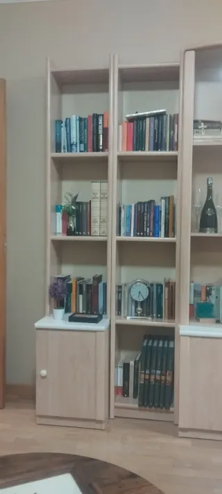 Mueble modular salón madera y cristal