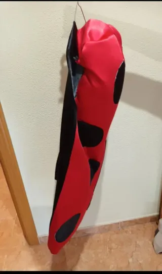 Disfraz mariquita infantil