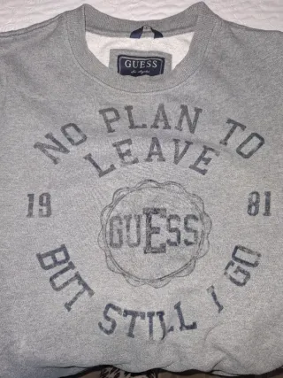 Sudadera Guess Gris con Estampado oversize.