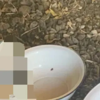 Palangana antigua tamaño p/m