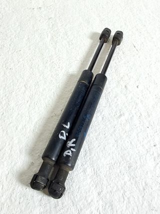 AMORTIGUADORES CAPO BMW X3 (E83) (2)