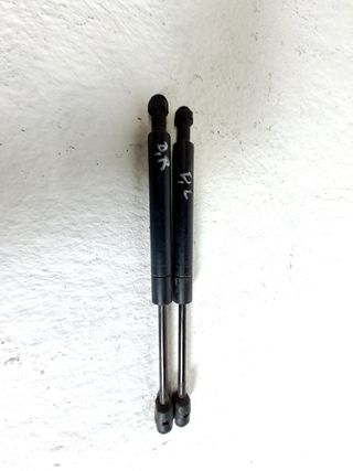 AMORTIGUADORES CAPO BMW X3 (E83) (2)