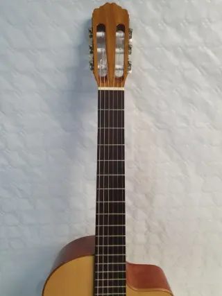 Guitarra Antonio Sánchez S-20E