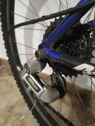 Bicicleta Montaña Massi Hard Swing