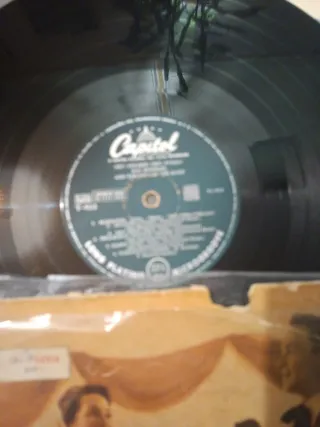 Lote de vinilos de polka