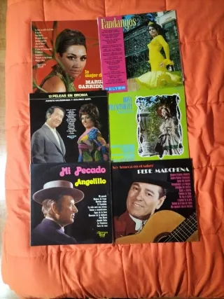 Vinilo Flamenco y Sevillanas