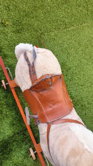 Caballo balancín vintage