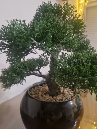 Bonsái Artificial Decorativo