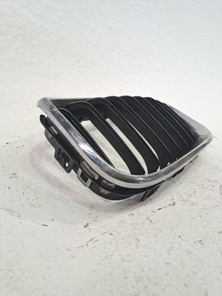 REJILLA DELANTERA BMW 1 (F20)