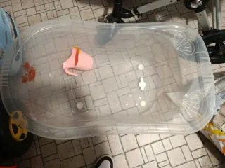 Bañera para bebé transparente