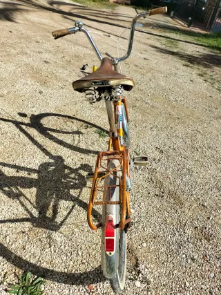 Bicicleta de paseo vintage