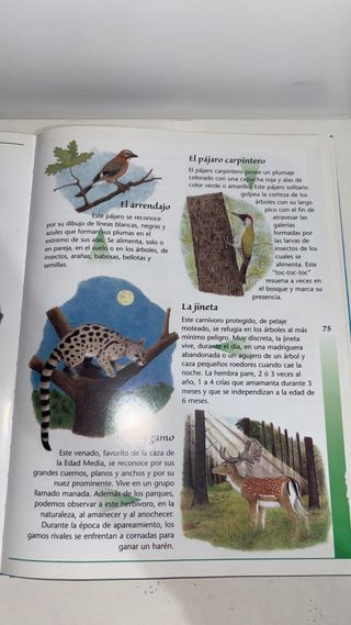 Libro - Mi primera enciclopedia de los animales
