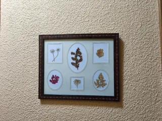 Cuadro Decorativo con Flores Secas