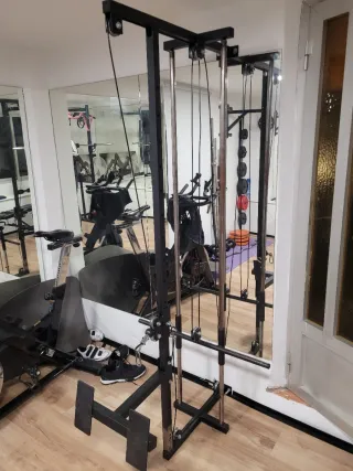 Polea de gimnasio regulable