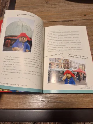 Paddington's Guide to London