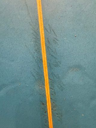 Tabla de Surf Minis Simmons Azul