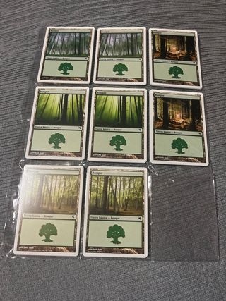 58 Cartas Magic Tierra Básica Bosque