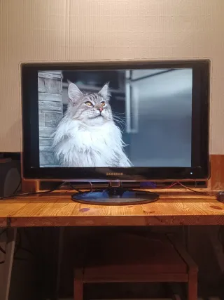 Monitor 23" SAMSUNG LS23EFHK EV/EN