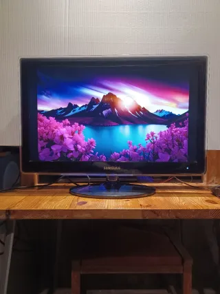 Monitor 23" SAMSUNG LS23EFHK EV/EN