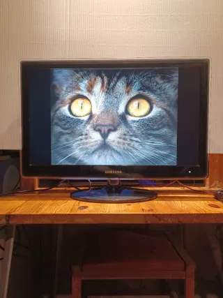 Monitor 23" SAMSUNG LS23EFHK EV/EN