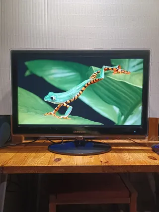 Monitor 23" SAMSUNG LS23EFHK EV/EN