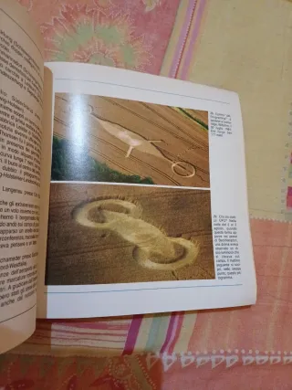 Il Mistero Dei Cerchi Nel Grano