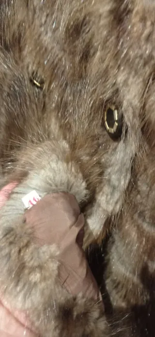 Abrigo peletería Lorenzo Josa