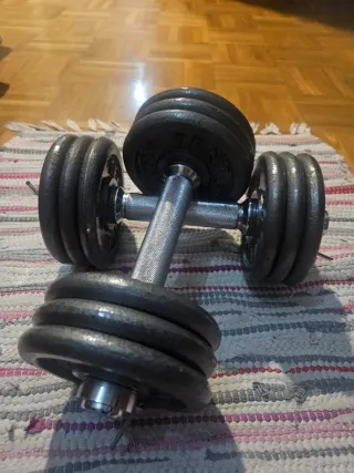 Mancuernas ajustables