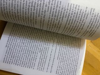 El libro del cementerio