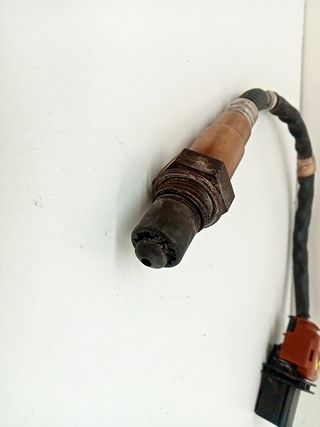 SONDA LAMBDA FORD FOCUS (6)