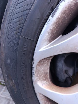 Llantas y neumáticos Ford Focus/C-Max205/55R16 91V