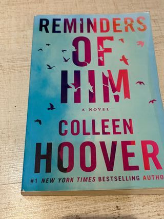 Reminders of Him: A Novel